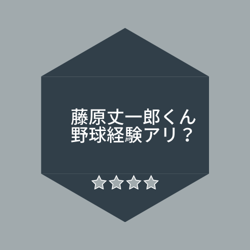 藤原丈一郎くん 丈くん 野球経験がないのに野球オタクと言われる３つの理由 オタクすぎる野球知識に絶賛の嵐 ふじみわの 主婦の車窓から